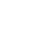 Action icon