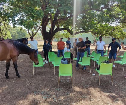 Piramal Realty - Employee activity